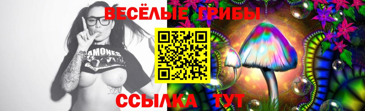 Галлюциногенные грибы мухоморы  Псилоцибиновые грибы Psilocybine cubensis  Котлас  Вход с VPN 